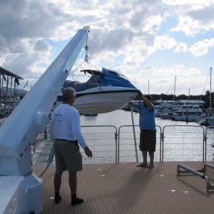 450kg Single Stage Davit